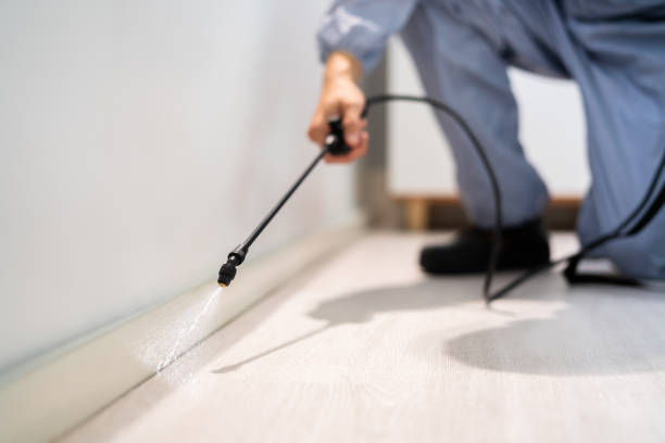 Licensed Fumigation Services service in Pershing County County, NV - Nex Pest Control